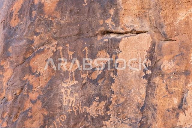 Middle East, Saudi Arabia, Hail Province, Jubbah. Ancient petroglyph of ostriches and other animals at the Jubbah rock art site at Ob Sinman Mountain.