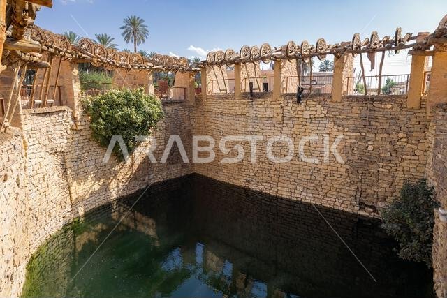Middle East, Saudi Arabia, Tabuk Province, Tayma. A pool of water at a desert oasis.