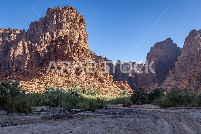 Middle East, Saudi Arabia,Tabuk, Wadi Al-Disha, Prince Mohammed bin Salman Natural Reserve. Wadi Al-Disha, known as the Grand Canyon of Saudi Arabia a Middle East, Saudi Arabia,Tabuk, Wadi Al-Disha, Prince Mohammed bin Salman Natural Reserve. Wadi Al-Disha, known as the Grand Canyon of Saudi Arabia a