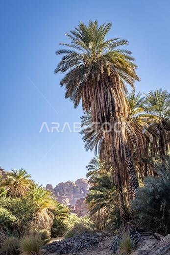 Middle East, Saudi Arabia,Tabuk, Wadi Al-Disha, Prince Mohammed bin Salman Natural Reserve. Wadi Al-Disha, known as the Grand Canyon of Saudi Arabia a