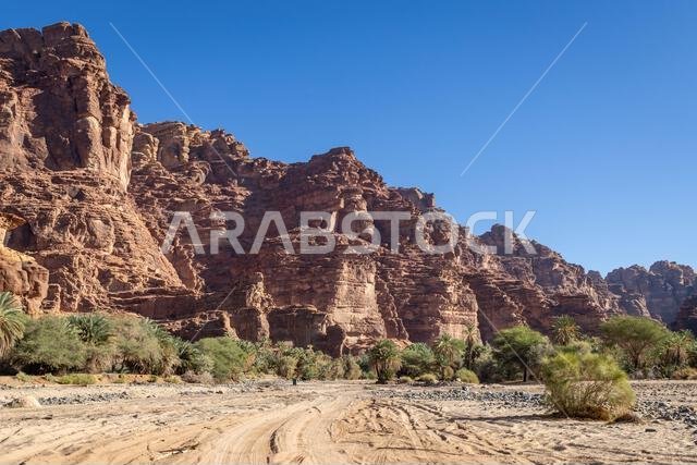 الشرق الأوسط، المملكة العربية السعودية، تبوك، وادي الديشة، محمية الأمير محمد بن سلمان الطبيعية. وادي الديشة، المعروف باسم جراند كانيون المملكة العربية السعودية
