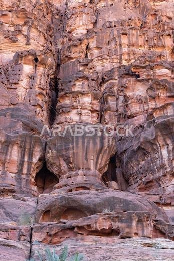 الشرق الأوسط، المملكة العربية السعودية، تبوك، وادي الديشة، محمية الأمير محمد بن سلمان الطبيعية. وادي الديشة، المعروف باسم جراند كانيون المملكة العربية السعودية