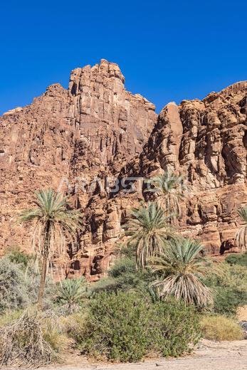 الشرق الأوسط، المملكة العربية السعودية، تبوك، وادي الديشة، محمية الأمير محمد بن سلمان الطبيعية. وادي الديشة، المعروف باسم جراند كانيون المملكة العربية السعودية