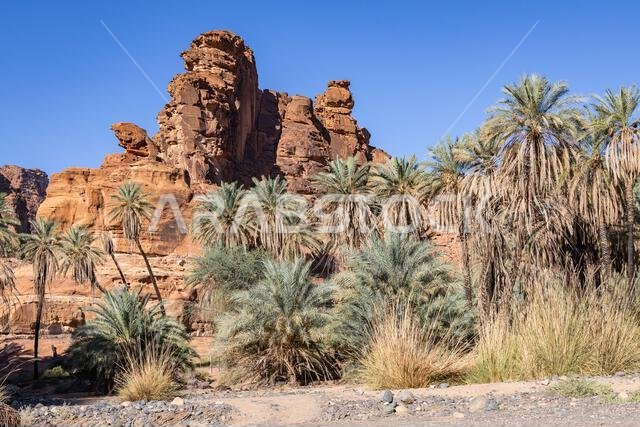 Middle East, Saudi Arabia,Tabuk, Wadi Al-Disha, Prince Mohammed bin Salman Natural Reserve. Wadi Al-Disha, known as the Grand Canyon of Saudi Arabia a