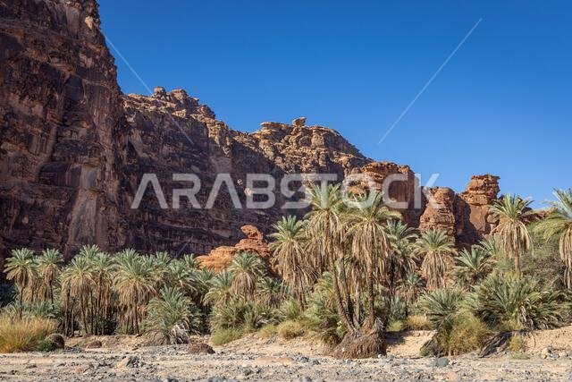 Middle East, Saudi Arabia,Tabuk, Wadi Al-Disha, Prince Mohammed bin Salman Natural Reserve. Wadi Al-Disha, known as the Grand Canyon of Saudi Arabia a