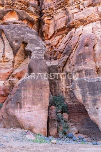 Middle East, Saudi Arabia,Tabuk, Wadi Al-Disha, Prince Mohammed bin Salman Natural Reserve. Wadi Al-Disha, known as the Grand Canyon of Saudi Arabia a