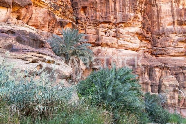 Middle East, Saudi Arabia,Tabuk, Wadi Al-Disha, Prince Mohammed bin Salman Natural Reserve. Wadi Al-Disha, known as the Grand Canyon of Saudi Arabia a