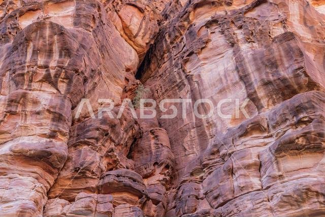 Middle East, Saudi Arabia,Tabuk, Wadi Al-Disha, Prince Mohammed bin Salman Natural Reserve. Wadi Al-Disha, known as the Grand Canyon of Saudi Arabia a Middle East, Saudi Arabia,Tabuk, Wadi Al-Disha, Prince Mohammed bin Salman Natural Reserve. Wadi Al-Disha, known as the Grand Canyon of Saudi Arabia a