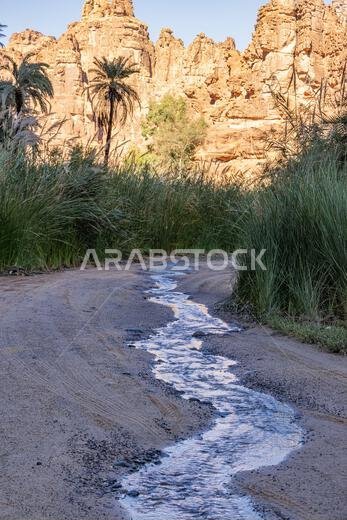 Middle East, Saudi Arabia,Tabuk, Wadi Al-Disha, Prince Mohammed bin Salman Natural Reserve. Wadi Al-Disha, known as the Grand Canyon of Saudi Arabia a