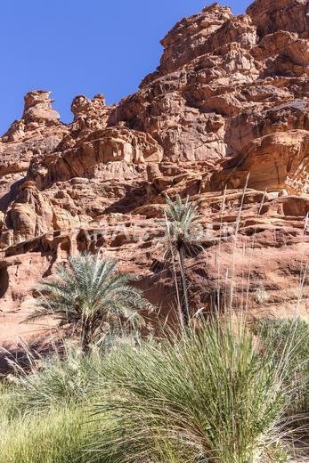 الشرق الأوسط، المملكة العربية السعودية، تبوك، وادي الديشة، محمية الأمير محمد بن سلمان الطبيعية. وادي الديشة، المعروف باسم جراند كانيون المملكة العربية السعودية