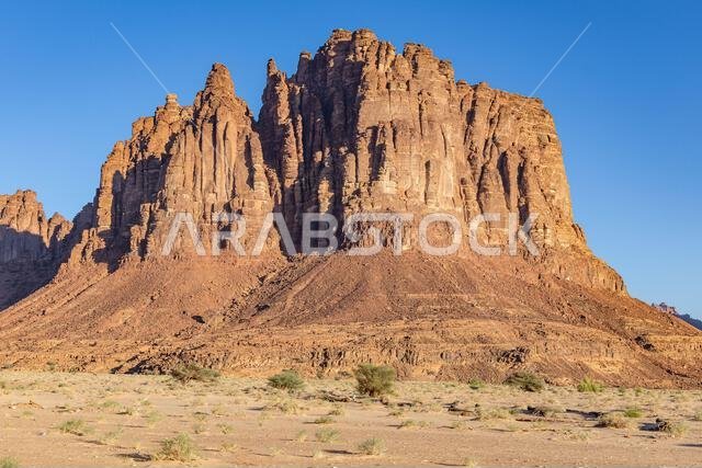 Middle East, Saudi Arabia, Tabuk, Al-Disah. Desert landscape in the Prince Mohammed bin Salman Natural Reserve. Middle East, Saudi Arabia, Tabuk, Al-Disah. Desert landscape in the Prince Mohammed bin Salman Natural Reserve.