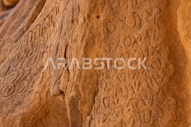 Middle East, Saudi Arabia, Medina, Al-Ula. Petroglyphs at the Dadan visitor center, site of an ancient kingdom.