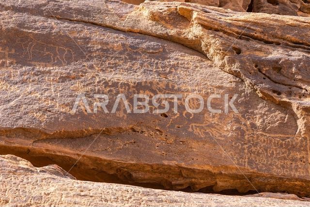 Middle East, Saudi Arabia, Medina, Al-Ula. Petroglyphs at the Dadan visitor center, site of an ancient kingdom.