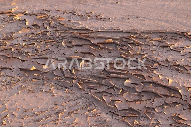 Middle East, Saudi Arabia, Tabuk, Al-Disah. Desert landscape in the Prince Mohammed bin Salman Natural Reserve.