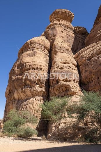 الشرق الأوسط، المملكة العربية السعودية، المدينة المنورة، العلا، الحِجر. تشكيلات صخرية صحراوية في منطقة الحِجر الأثرية.