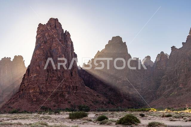 الشرق الأوسط، المملكة العربية السعودية، تبوك، وادي الديشة، محمية الأمير محمد بن سلمان الطبيعية. وادي الديشة، المعروف باسم جراند كانيون المملكة العربية السعودية