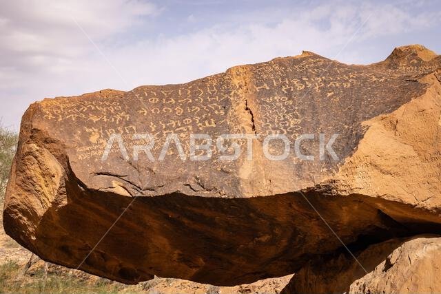 Middle East, Saudi Arabia, Medina, Al-Ula. Petroglyphs at the Dadan visitor center, site of an ancient kingdom.