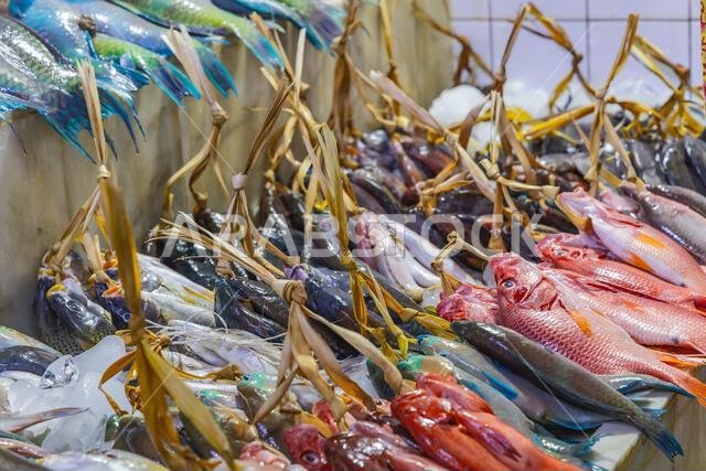 Middle East, Saudi Arabia, Madinah Province, Medina.  Colorful fresh fish at a market in Medina.