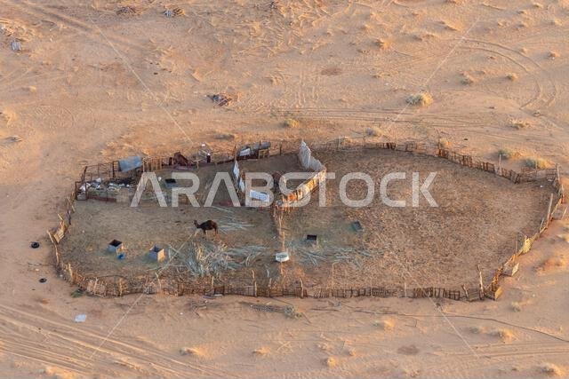 Middle East, Saudi Arabia, Medina, Al-Ula. Camels in a paddock in the Saudi Arabian desert, seen from a hot air balloon. Middle East, Saudi Arabia, Medina, Al-Ula. Camels in a paddock in the Saudi Arabian desert, seen from a hot air balloon.