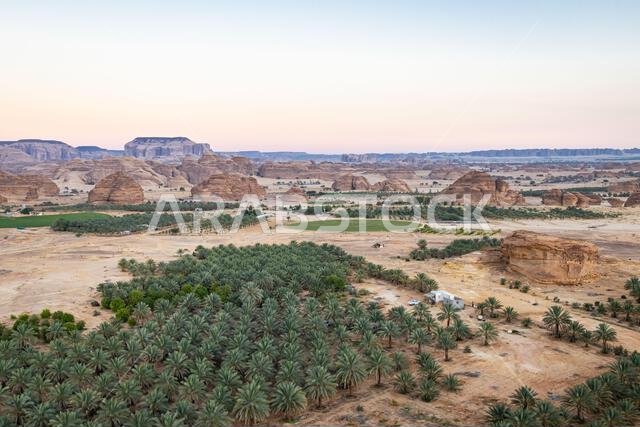 Middle East, Saudi Arabia, Medina, Al-Ula. Date palm farm in the Saudi Arabian desert, seen from a hot air balloon. Middle East, Saudi Arabia, Medina, Al-Ula. Date palm farm in the Saudi Arabian desert, seen from a hot air balloon.