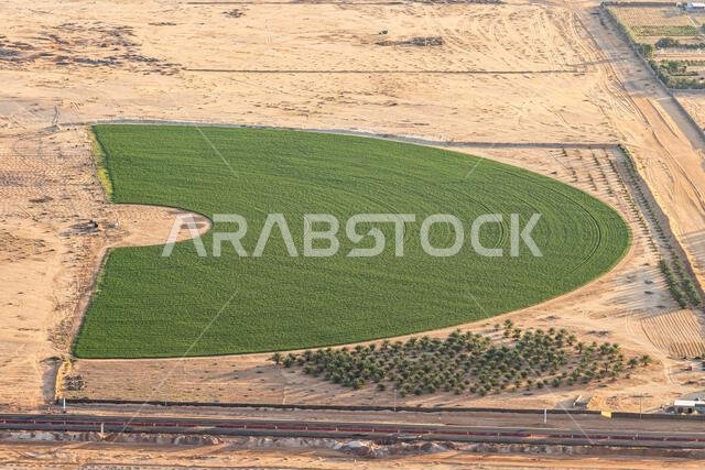 Middle East, Saudi Arabia, Medina, Al-Ula. Circle pivot irrigation in the Saudi Arabian desert, seen from a hot air balloon.