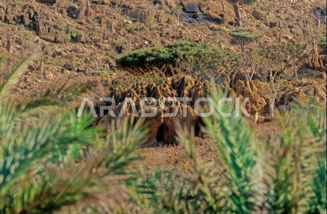 جبل هوم هيل اليمني يقع في الطرف الجنوبي من شبه الجزيرة العربية، ويحده من الشمال المملكة العربية السعودية ومن الشمال الشرقي سلطنة عمان.