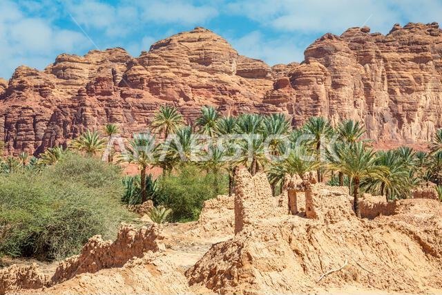 شوارع مدينة العلا القديمة المدمرة التي كانت تصطف على جانبيها أشجار النخيل، المملكة العربية السعودية