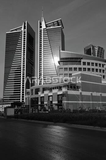 Riyadh Twin Towers