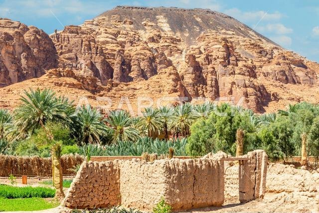 Al Ula ruined old town streets with palms and mountain in the background, Saudi Arabia