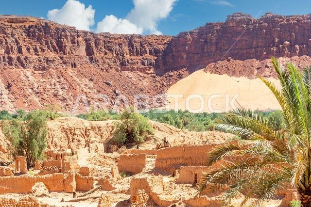 شوارع مدينة العلا القديمة المدمرة مع أشجار النخيل والجبال في الخلفية، المملكة العربية السعودية