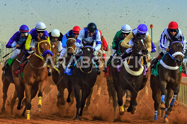 مجموعة من الفرسان السعوديون يمتطون الخيل في سباق الخيل الاصيل ،ميدان الملك عبد العزيز للفروسية في الرياض ، نادي سباقات الخيل ، هواية ركوب الخيل ، الفروسية ، مهارات وأنشطة ترفيهية 