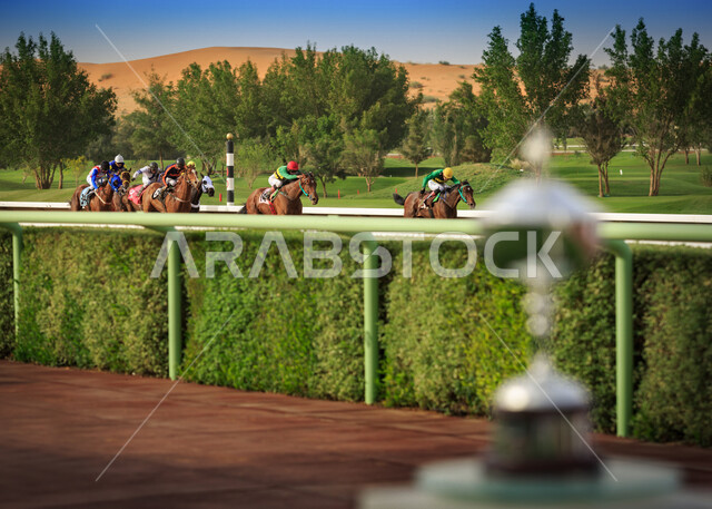 مجموعة من الفرسان السعوديون يمتطون الخيل في سباق الخيل الاصيل ،ميدان الملك عبد العزيز للفروسية في الرياض ، نادي سباقات الخيل ، هواية ركوب الخيل ، الفروسية ، مهارات وأنشطة ترفيهية 