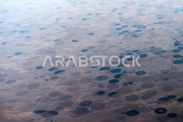 صورة جوية لحقول زراعية دائرية في الصحراء العربية في المملكة العربية السعودية.