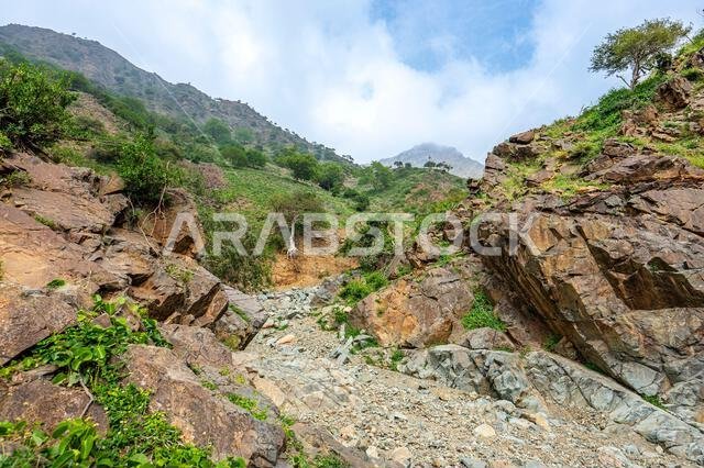 وادي نموذجي في شبه الجزيرة العربية. المنطقة المحيطة بمدينة الريث في المملكة العربية السعودية.