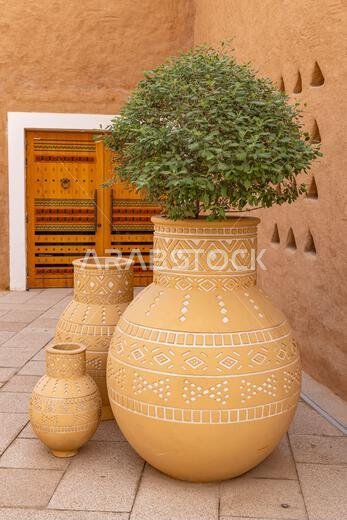 Diriyah, Riyadh, Saudi Arabia, Middle East. Potted plant in the Diriyah area of Riyadh.