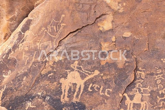Middle East, Saudi Arabia, Hail Province, Jubbah. Ancient petroglyph of a camel at the Jubbah rock art site at Ob Sinman Mountain.