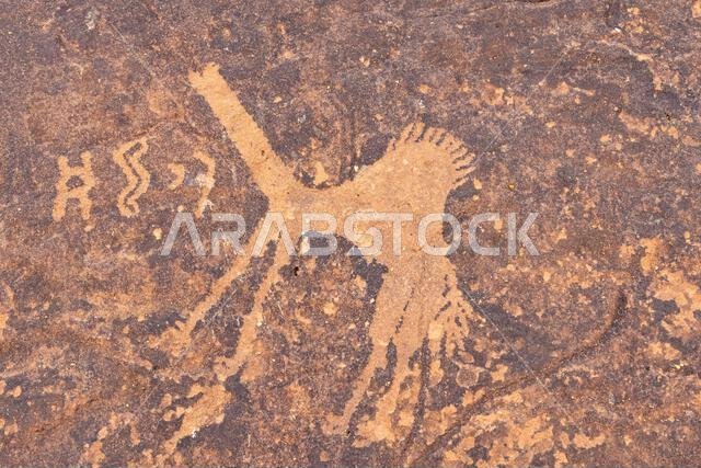 Middle East, Saudi Arabia, Hail Province, Jubbah. Ancient petroglyph of a camel at the Jubbah rock art site at Ob Sinman Mountain.