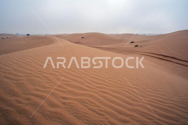 Al Qudra empty quarter seamless desert sahara in Dubai UAE middle east with wind paths and sand hills under gray cloudy sky