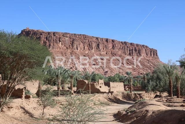 Mudbrick buildings along the Heritage Oasis Trail at Al Ula in Saudi Arabia