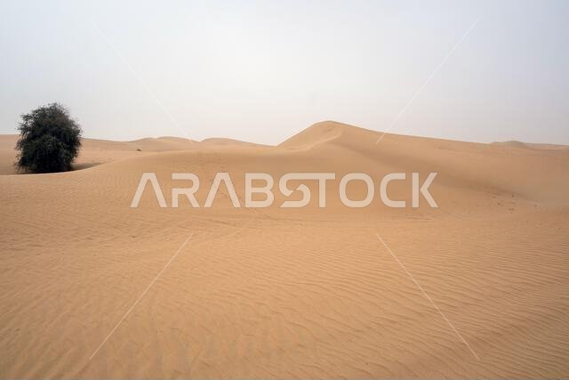 القدرة، الربع الخالي، صحراء متصلة في دبي، الإمارات العربية المتحدة، الشرق الأوسط، تتخللها مسارات الرياح والكثبان الرملية تحت سماء رمادية ملبدة بالغيوم