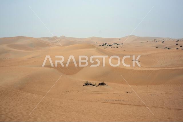 Al Qudra empty quarter seamless desert sahara in Dubai UAE middle east with wind paths and sand hills under gray cloudy sky