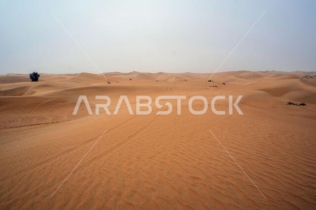 Al Qudra empty quarter seamless desert sahara in Dubai UAE middle east with wind paths and sand hills under gray cloudy sky
