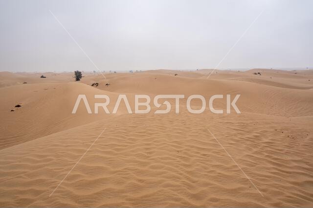 القدرة، الربع الخالي، صحراء متصلة في دبي، الإمارات العربية المتحدة، الشرق الأوسط، تتخللها مسارات الرياح والكثبان الرملية تحت سماء رمادية ملبدة بالغيوم القدرة، الربع الخالي، صحراء متصلة في دبي، الإمارات العربية المتحدة، الشرق الأوسط، تتخللها مسارات الرياح والكثبان الرملية تحت سماء رمادية ملبدة بالغيوم