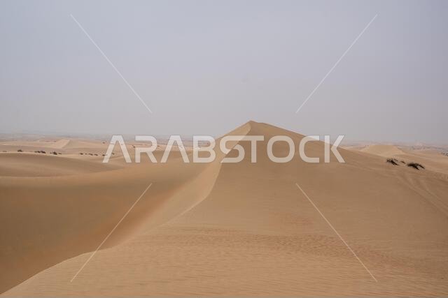Al Qudra empty quarter seamless desert sahara in Dubai UAE middle east with wind paths and sand hills under gray cloudy sky Al Qudra empty quarter seamless desert sahara in Dubai UAE middle east with wind paths and sand hills under gray cloudy sky