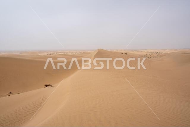 Al Qudra empty quarter seamless desert sahara in Dubai UAE middle east with wind paths and sand hills under gray cloudy sky