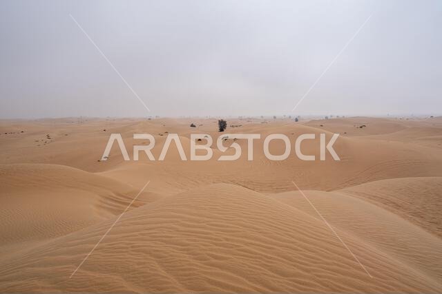 Al Qudra empty quarter seamless desert sahara in Dubai UAE middle east with wind paths and sand hills under gray cloudy sky