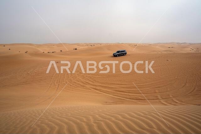 سيارة دفع رباعي في منطقة القدرة، الربع الخالي، صحراء متصلة في دبي، الإمارات العربية المتحدة، الشرق الأوسط، مع مسارات الرياح وكثبان رملية وسماء رمادية ملبدة بالغيوم