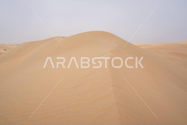 القدرة، الربع الخالي، صحراء متصلة في دبي، الإمارات العربية المتحدة، الشرق الأوسط، تتخللها مسارات الرياح والكثبان الرملية تحت سماء رمادية ملبدة بالغيوم