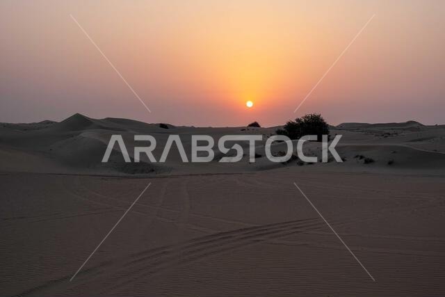 Al Qudra empty quarter seamless desert sahara in Dubai UAE middle east with wind paths and sand hills under sunset