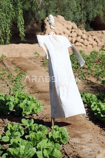 Scarecrow wearing a thawb on the Al Ula Heritage Oasis Trail in Saudi Arabia